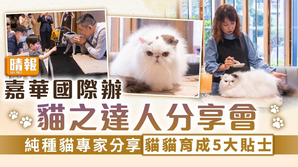 育貓心得｜嘉華國際辦貓之達人分享會 純種貓專家分享貓貓育成5大貼士