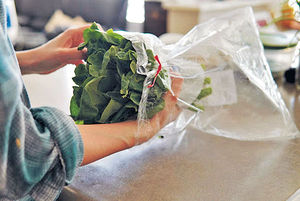 綠葉菜3步驟不易爛 甚麼菜可放5天？
