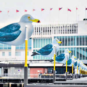 日本「海鷗の港」飛駐海港城 維港岸邊隨海風擺動