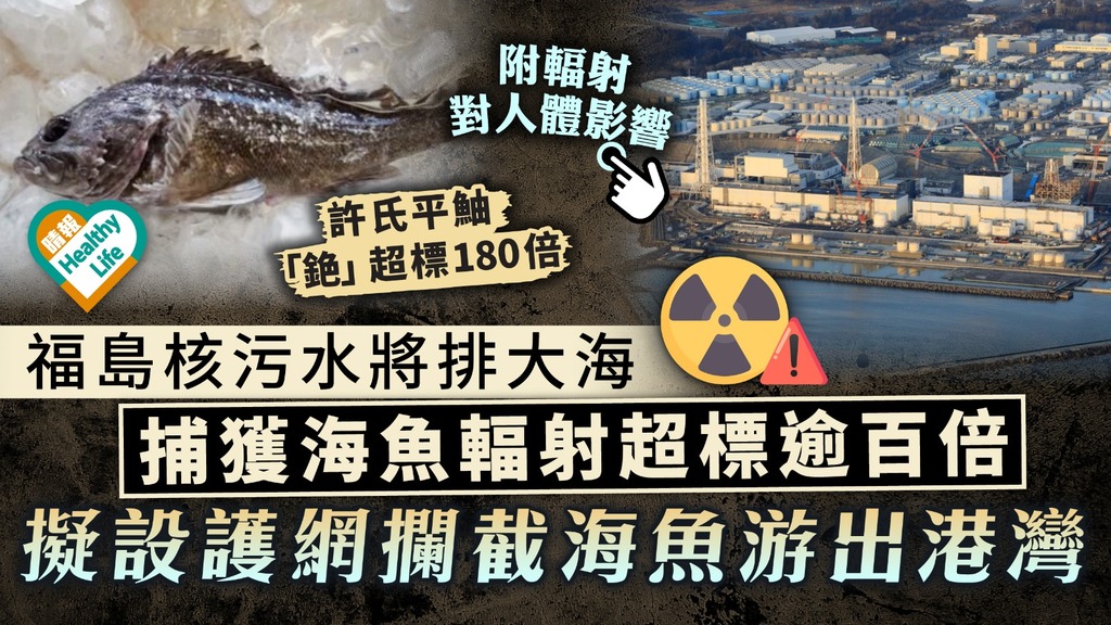核污染｜福島核污水將排大海 捕獲海魚輻射超標180倍 擬設護網攔截海魚游出港灣