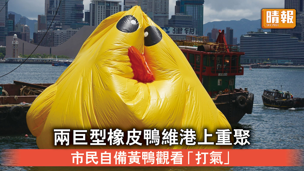 黃色巨鴨｜2隻巨型橡皮鴨維港上重聚 市民自備黃鴨觀看「打氣」