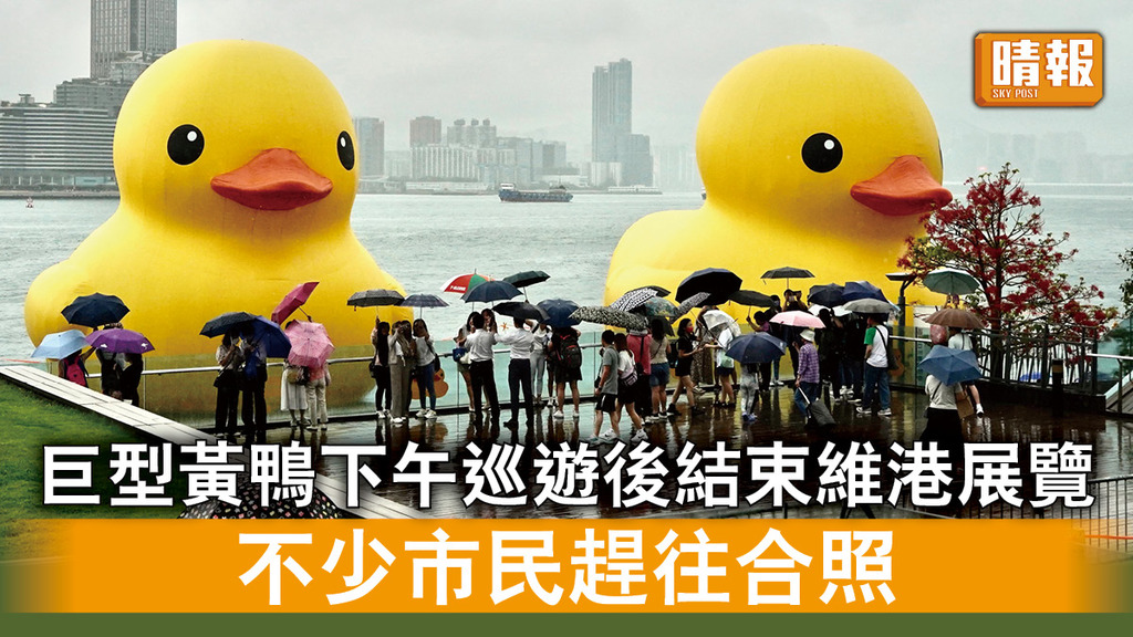 黃色巨鴨｜巨型黃鴨下午巡遊後結束維港展覽 不少市民趕往合照