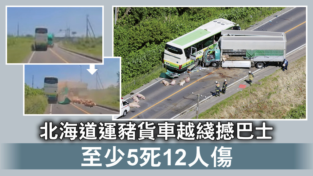 北海道車禍｜北海道運豬貨車越綫撼巴士 至少5死12人傷