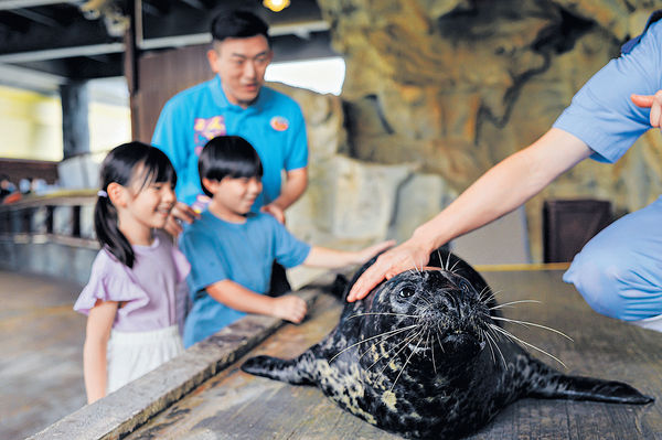 海洋公園「夏日歷險」再登場 歲半至11歲可參加不同探索課程