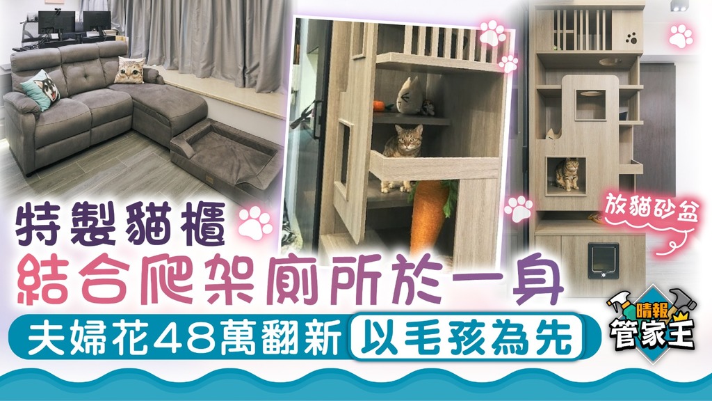 管家王｜特製貓櫃結合爬架廁所於一身 夫婦花48萬翻新以毛孩為先