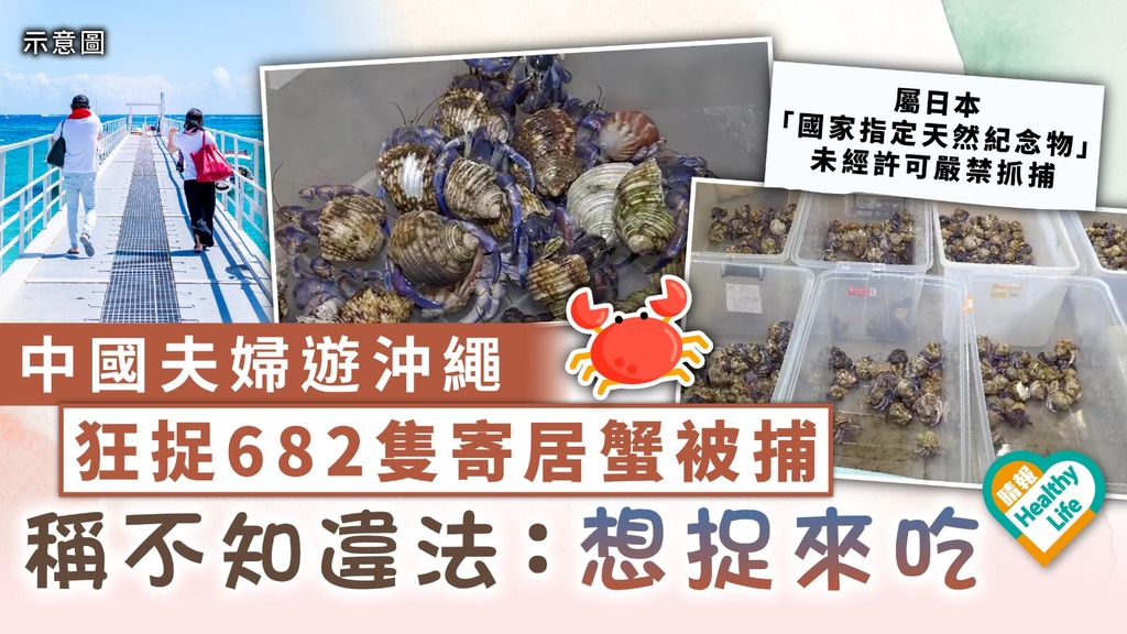缺德遊客｜中國夫婦遊沖繩 狂捉682隻寄居蟹被捕 稱不知違法：想捉來吃