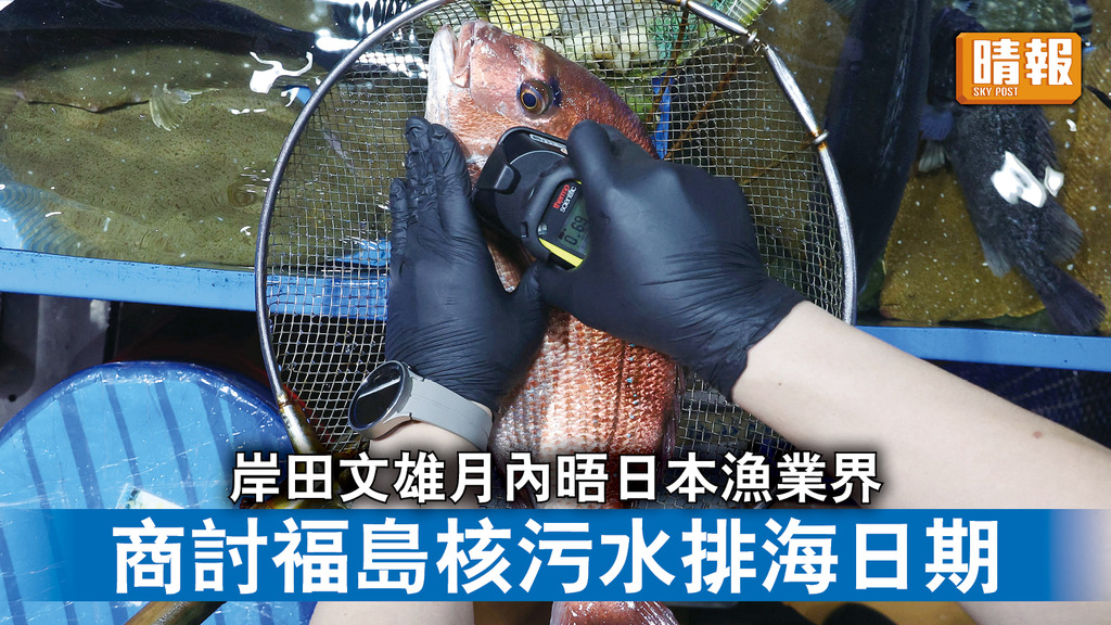 福島核災｜岸田文雄月內晤日本漁業界 商討福島核污水排海日期