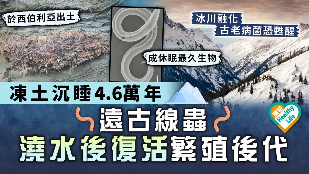 暖化危機｜冰川融化古老病菌恐甦醒 遠古線蟲凍土沉睡4.6萬年 澆水後復活繁殖後代