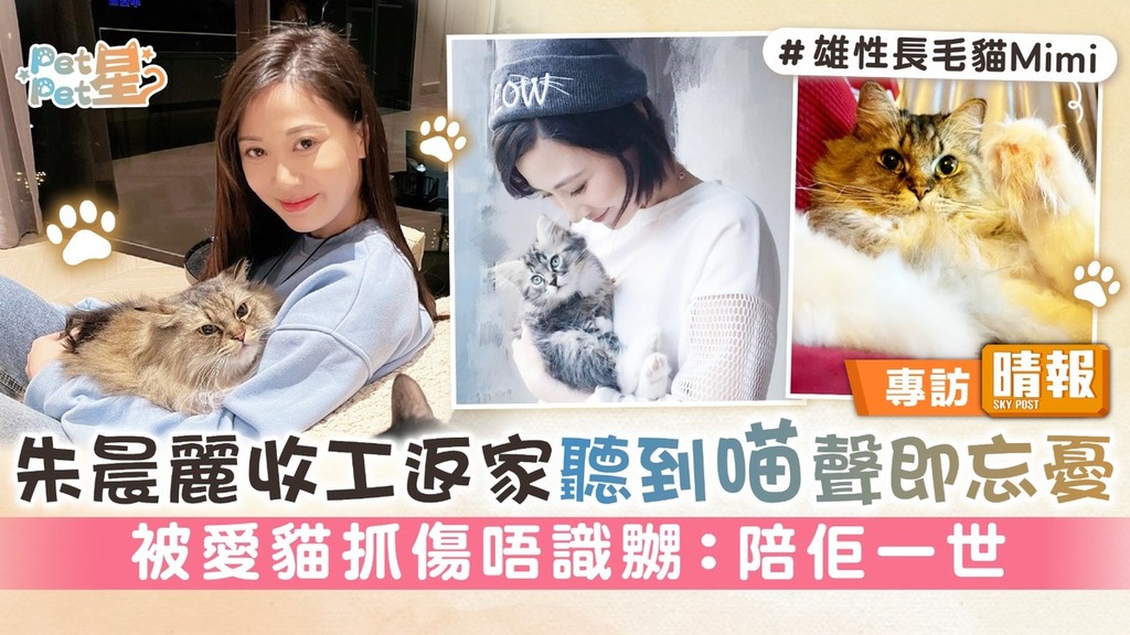 Pet Pet星︳朱晨麗收工返家聽到喵聲即忘憂 被愛貓抓傷唔識嬲：陪佢一世