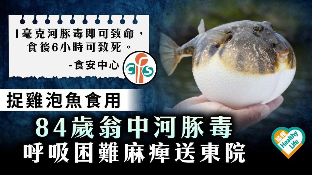 食物中毒｜捉雞泡魚食用84歲翁中河豚毒 呼吸困難痲痺送東院