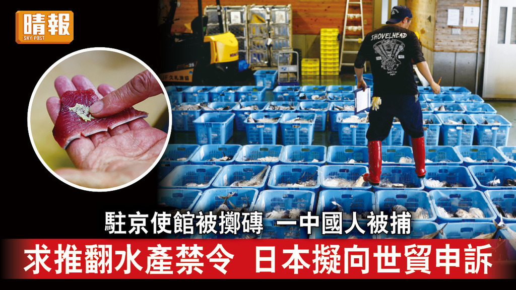 福島核廢水｜駐京使館被擲磚 一中國人被捕 求推翻水產禁令 日本擬向世貿申訴