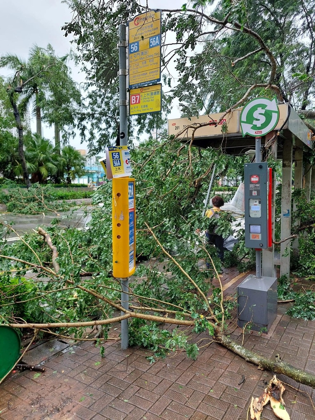 颱風蘇拉｜多區水浸塌樹 市民家中失守爆玻璃、漏水 天文台：8號風球會在下午4時前維持