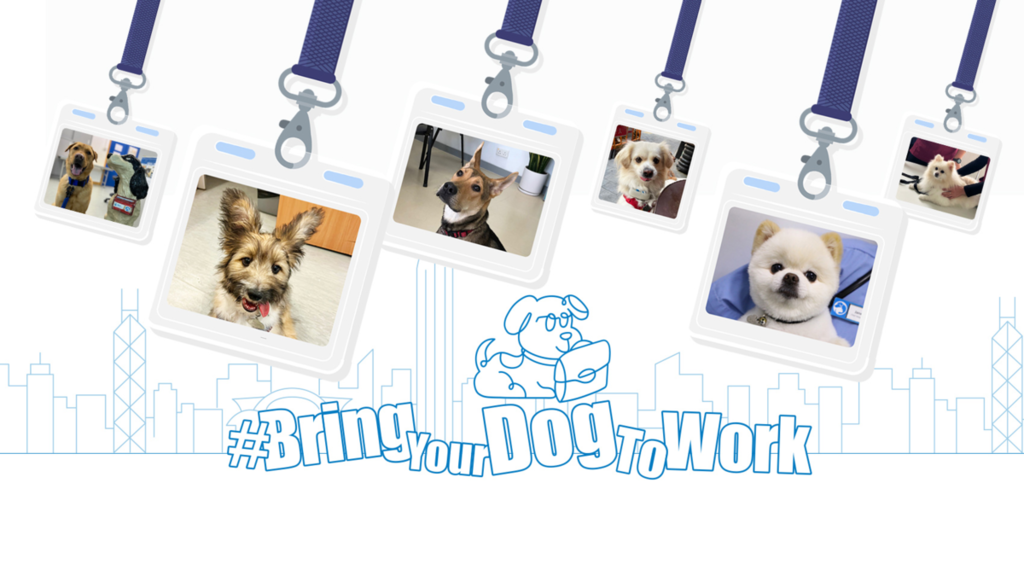 人寵共融｜愛協10月推出「帶狗狗上班」計劃 為參與企業提供7大支援
