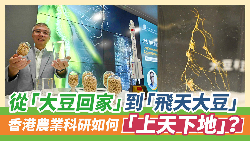 從「大豆回家」到「飛天大豆」 香港農業科研如何「上天下地」？