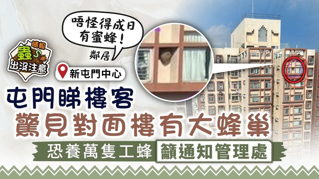 蟲出沒注意｜屯門睇樓客驚見對面樓有大蜂巢 恐養萬隻工蜂籲通知管理處