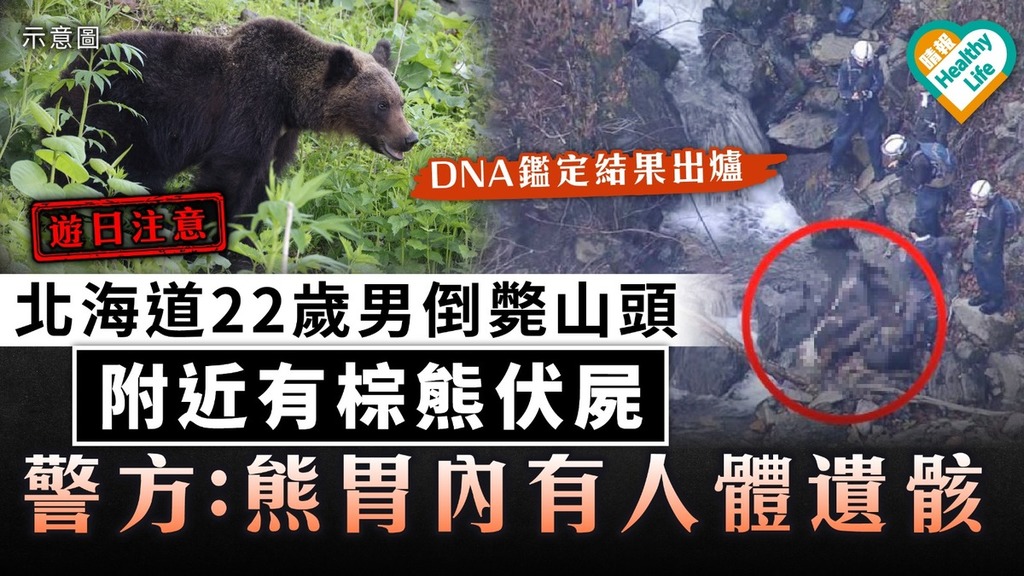 遊日注意｜北海道22歲男倒斃山頭 附近有棕熊伏屍 警方：熊胃內有人體遺骸