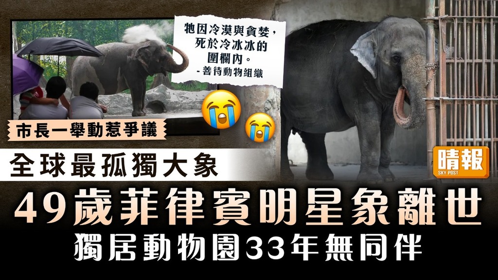 全球最孤獨大象｜49歲菲律賓明星象離世 獨居動物園33年無同伴 市長一舉動惹爭議