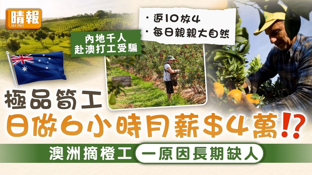 移居澳洲｜極品筍工日做6小時月薪$4萬 澳洲摘橙工一原因長期缺人