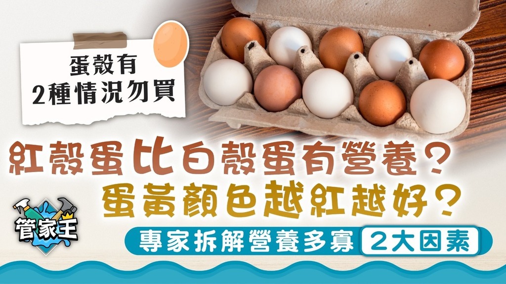 雞蛋迷思｜紅殼蛋比白殼蛋有營養？蛋黃顏色越紅越好？ 專家拆解營養多寡2大因素