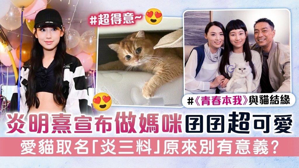 炎明熹宣布做媽咪囝囝超可愛 愛貓取名「炎三料」原來別有意義？