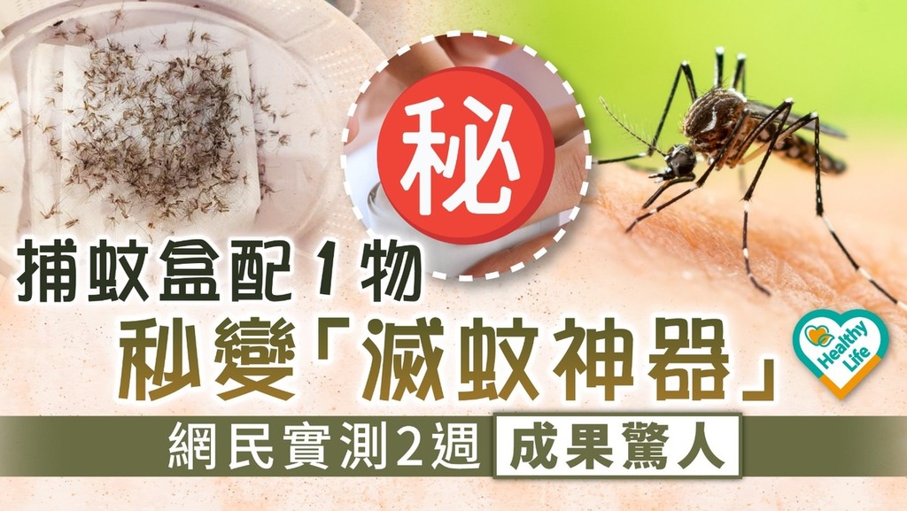KO蚊蟲︱捕蚊盒配1物秒變「滅蚊神器」 網民實測2週成果驚人