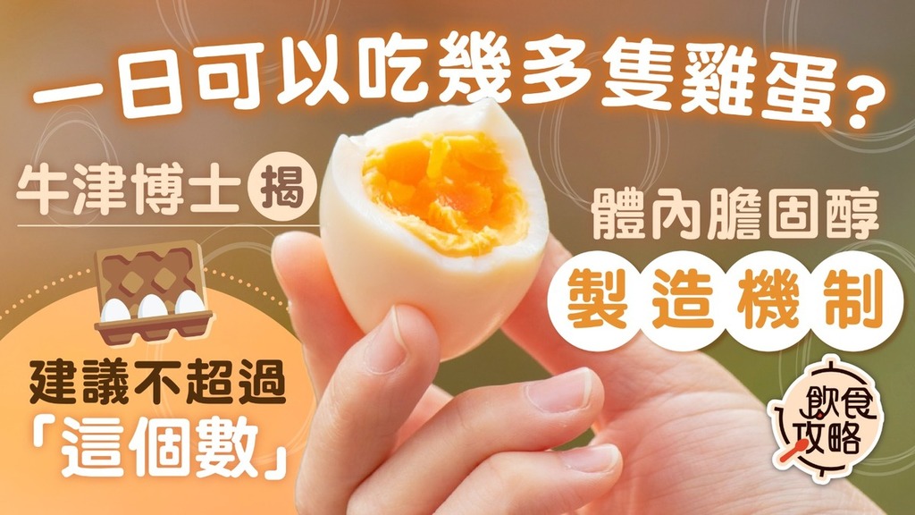 飲食攻略︱一日可以吃幾多隻雞蛋？ 牛津博士揭體內膽固醇製造機制建議不超過「這個數」