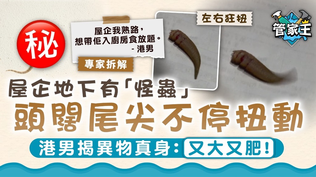 家居益蟲｜屋企地方有「怪蟲」頭闊尾尖不停扭動 港男揭異物真身：又大又肥！