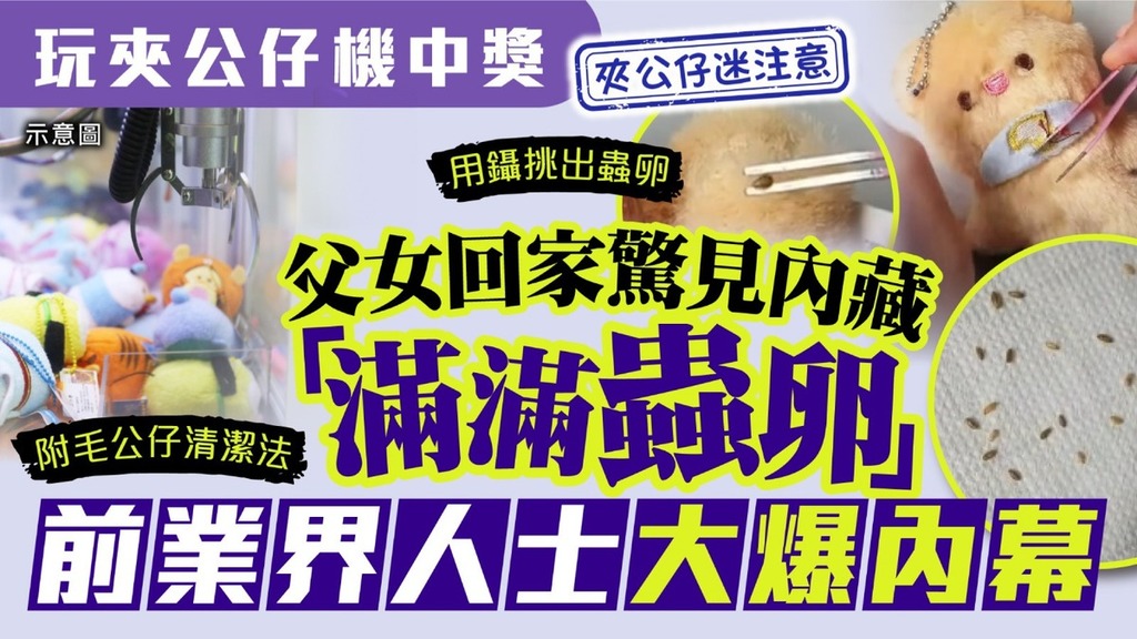 暗藏危機丨玩夾公仔機中獎 父女回家驚見內藏「滿滿蟲卵」 前業界人士大爆內幕