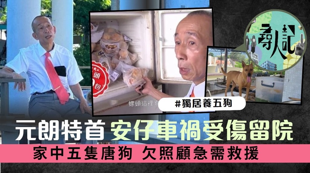 尋人記II丨元朗特首「安仔」車禍受傷留院 家中五隻唐狗欠照顧急需救援