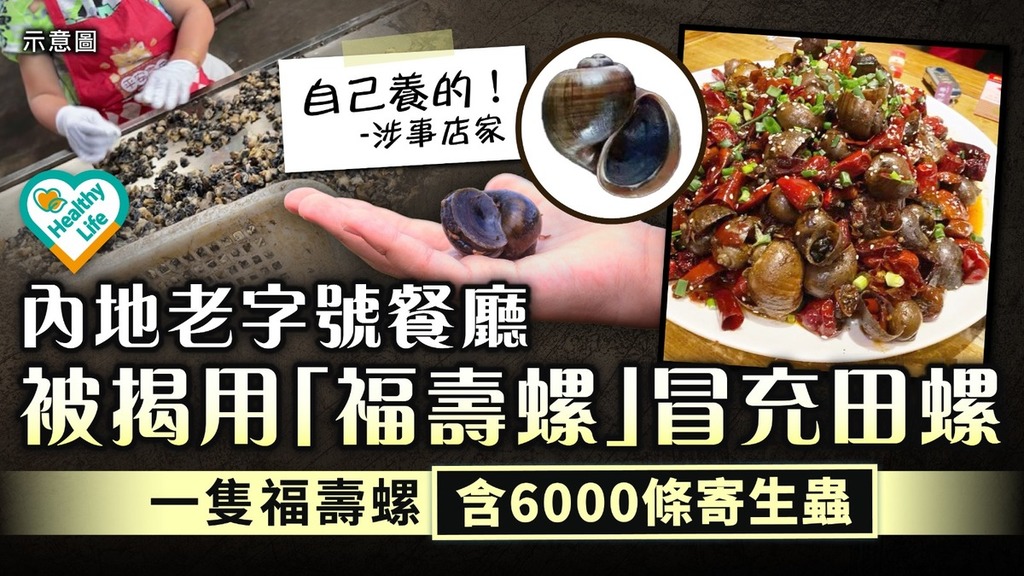 食用安全｜內地老字號餐廳被揭用「福壽螺」冒充田螺 一隻福壽螺含6000條寄生蟲