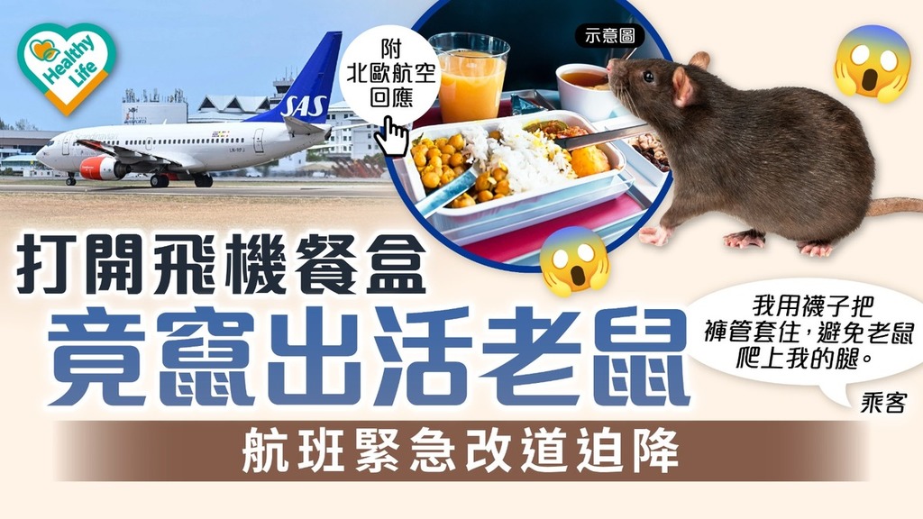 食用安全｜打開飛機餐盒 竟竄出活老鼠 航班緊急改道迫降【附北歐航空回應】