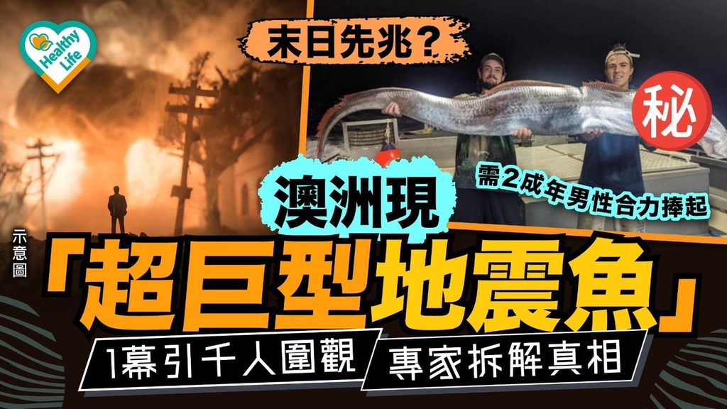 地震魚｜末日先兆？ 澳洲現「超巨型地震魚」 1幕引千人圍觀 專家拆解真相