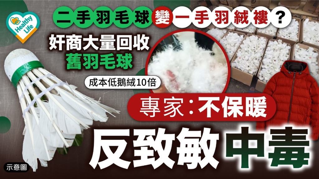 黑心羽絨｜二手羽毛球變一手羽絨褸？ 奸商大量回收舊羽毛球 專家：不保暖反致敏中毒