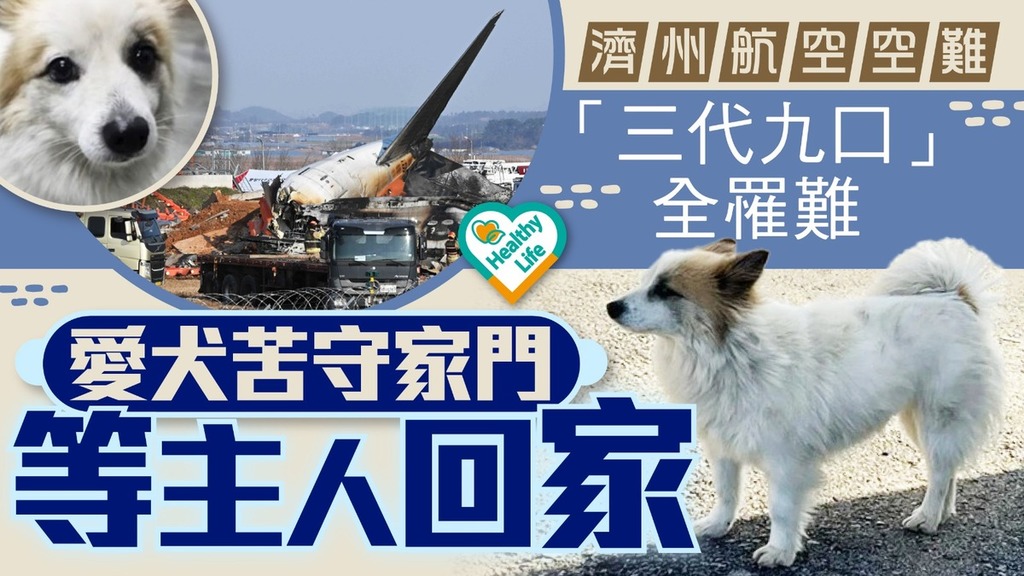 濟州航空空難丨「三代九口」搭死亡客機全罹難 愛犬苦守家門等主人回家