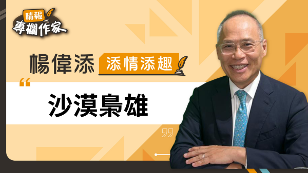沙漠梟雄