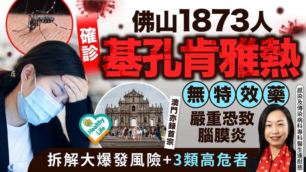 基孔肯雅熱丨 佛山1873人確診「基孔肯雅熱」 無特效藥嚴重恐致腦膜炎拆解大爆發風險+3類高危者