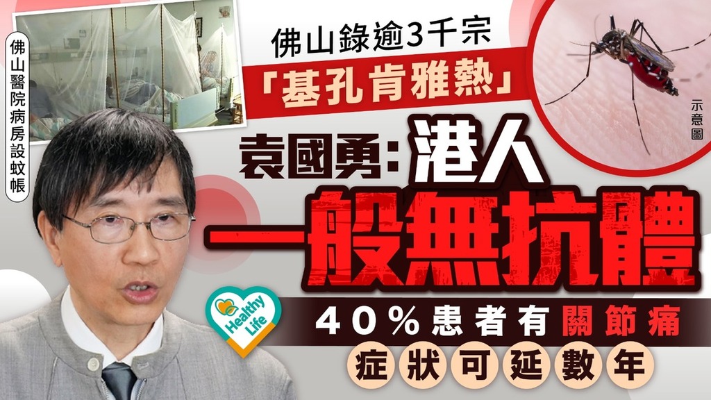 基孔肯雅熱丨佛山錄逾3千宗「基孔肯雅熱」 袁國勇：港人一般無抗體 40%患者有關節痛症狀可延數年
