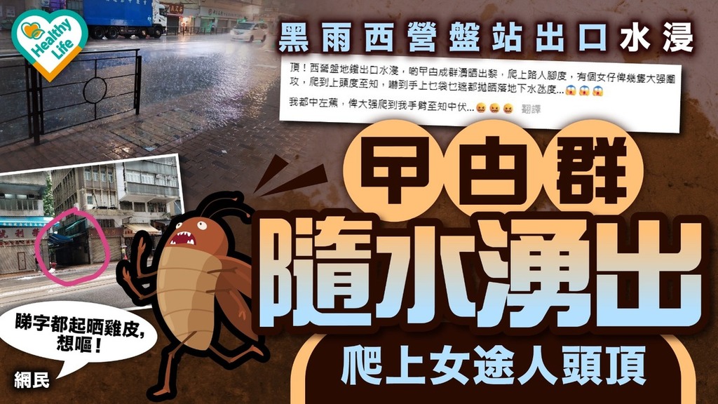 黑雨襲港｜黑雨西營盤站出口水浸 目擊者稱曱甴群隨水湧出 爬上女途人頭頂