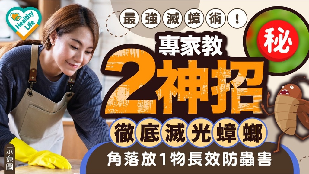 KO曱甴｜最強滅曱甴術！ 專家教2神招徹底滅光蟑螂 角落放1物長效防蟲害