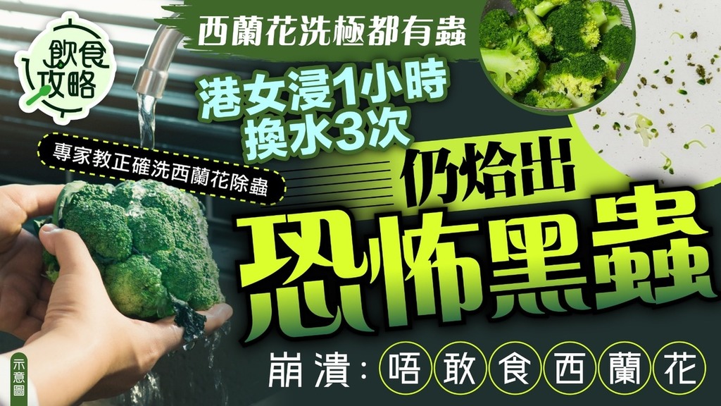 西蘭花清洗丨西蘭花洗極都有蟲 港女浸1小時換水3次仍烚出恐怖黑蟲崩潰：唔敢食西蘭花