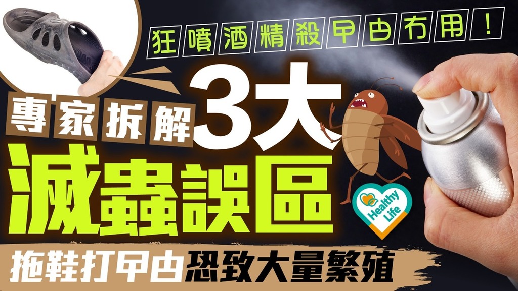 KO曱甴｜狂噴酒精殺曱甴冇用 專家拆解3大滅蟲誤區 拖鞋打曱甴恐致大量繁殖