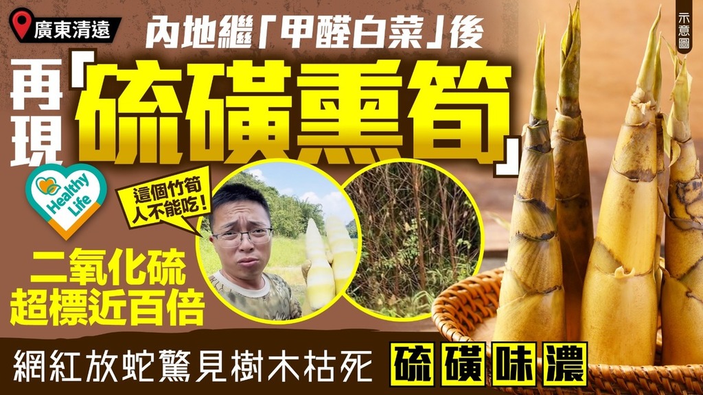 食安問題｜食安網紅踢爆廣東「硫磺熏筍」製工場 樹木枯死硫磺味極刺鼻 揭二氧化硫殘留超標近百倍